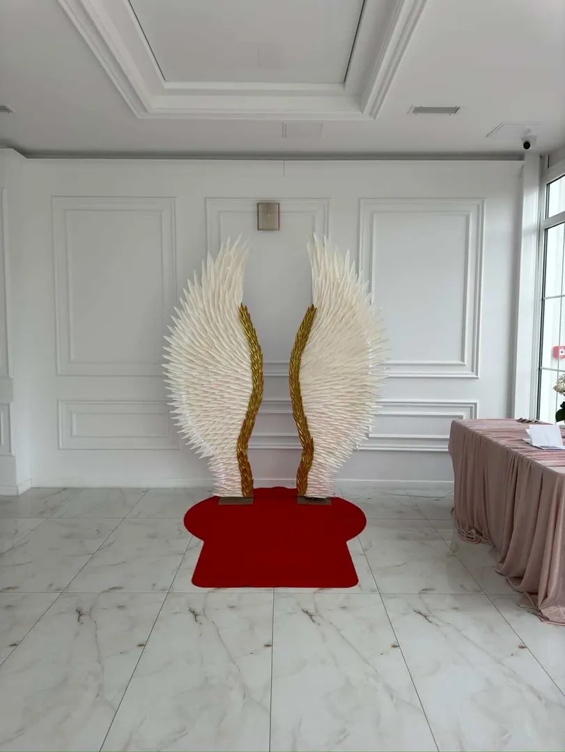 Skrzydła do zdjęć LED